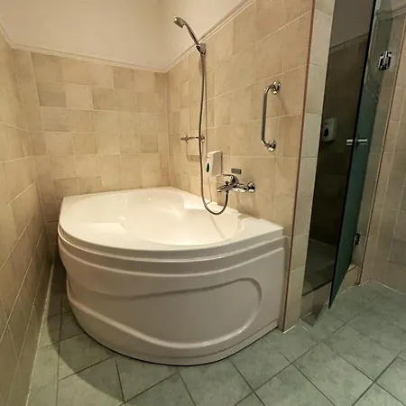 Apartment Alma Wellness 923 *