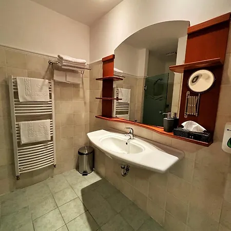 Apartment Alma Wellness 923 *